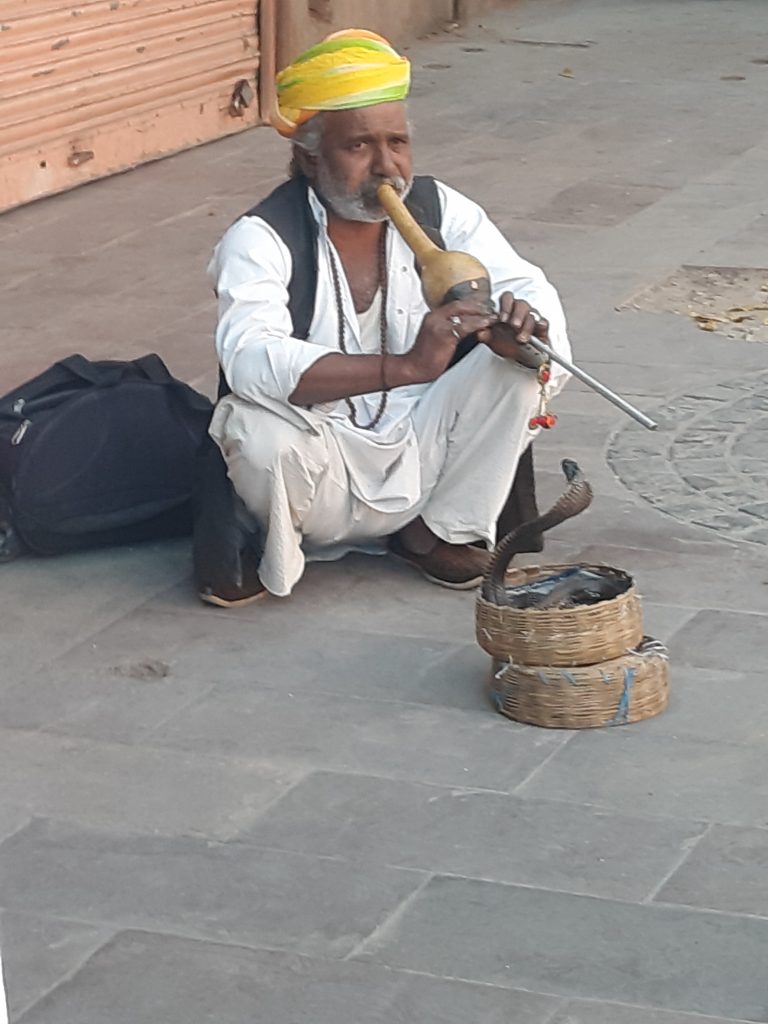In India - De slangenman